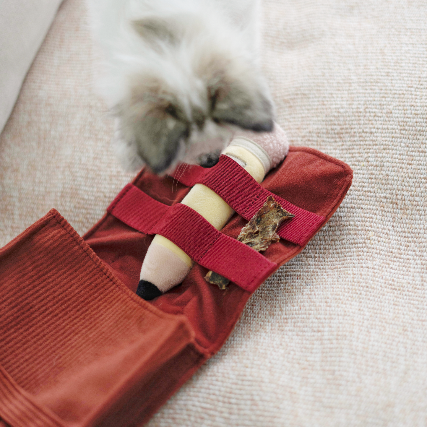 Jouet d’enrichissement CARTABLE