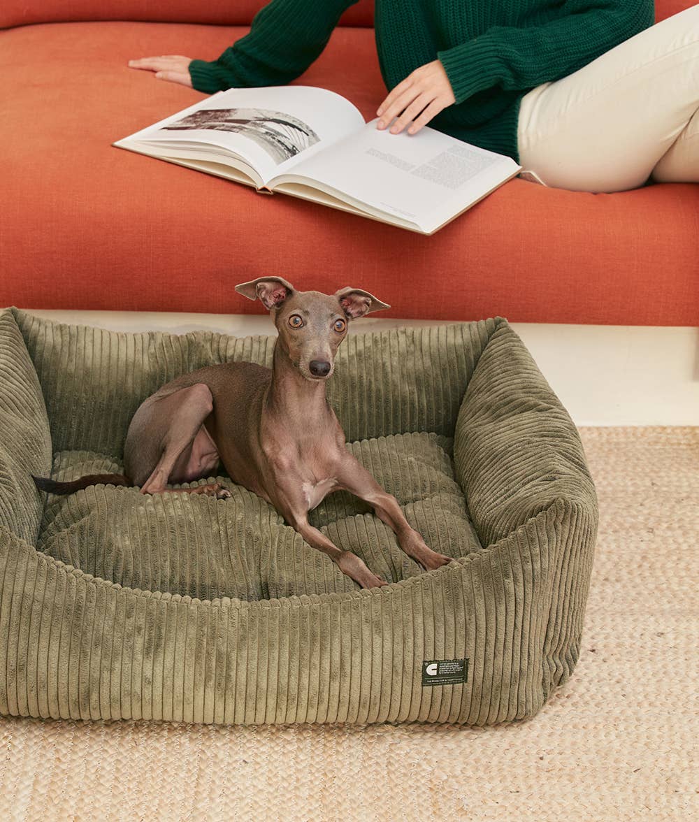 Panier pour chien en velours côtelé - Vert Kaki