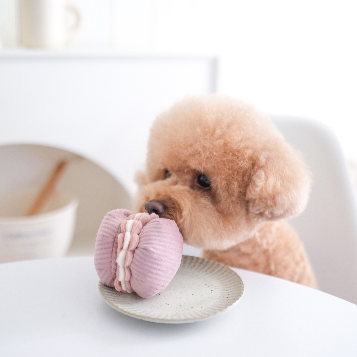 Jouet Pâtisserie Macaron & Madeleine