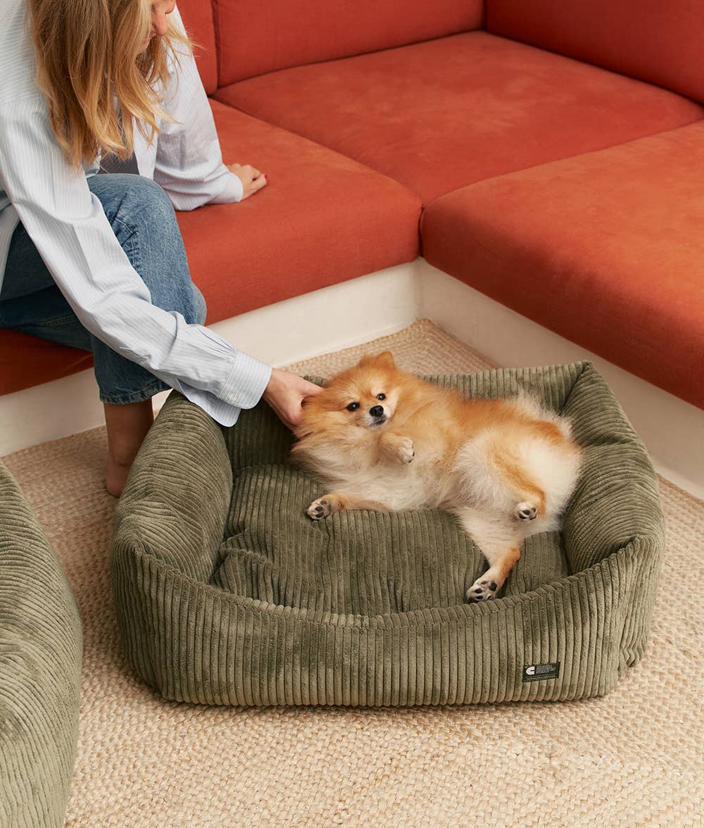 Panier pour chien en velours côtelé - Vert Kaki