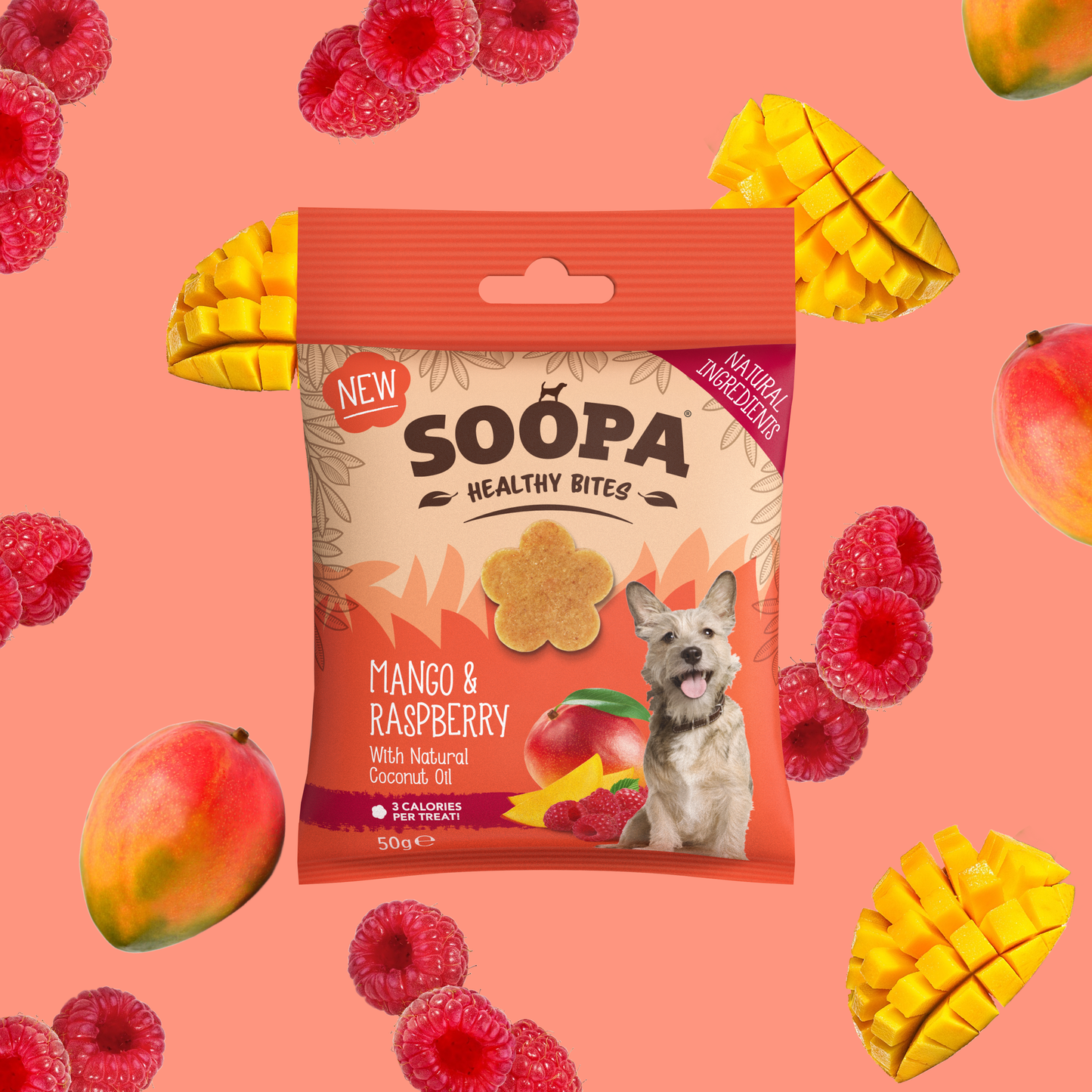 Friandises pour chiens à la mangue et à la framboise