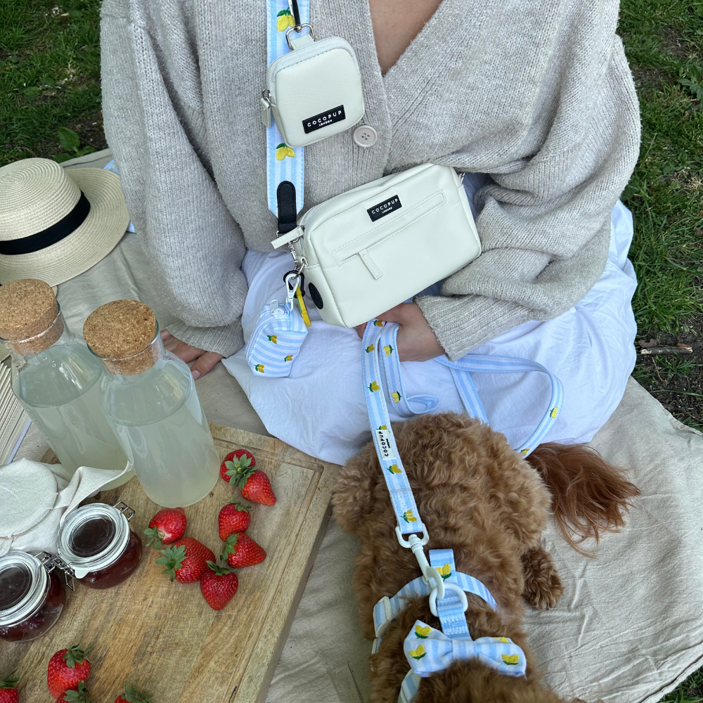 Sangle de sac - Living La Vida Lemon