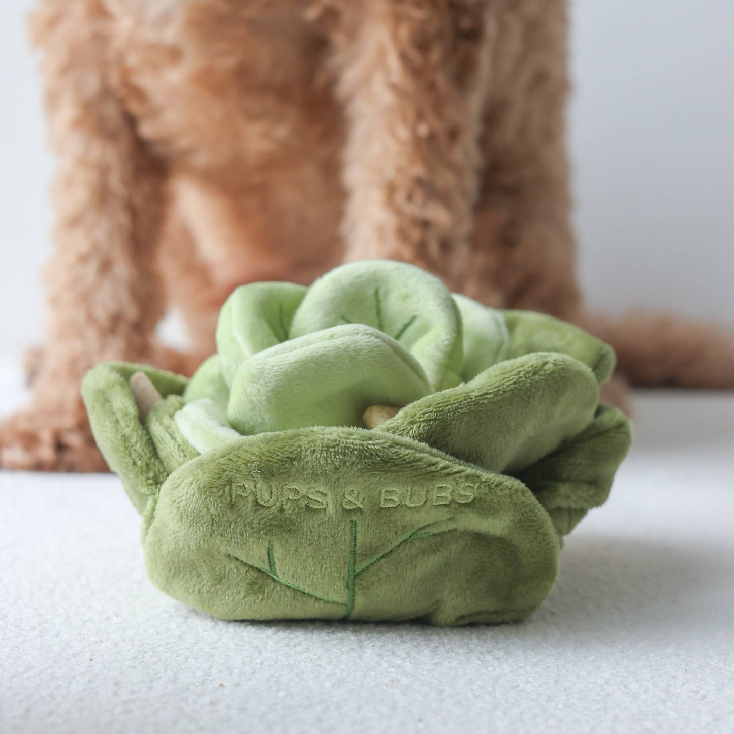 Jouet Snuffle Chou Vert