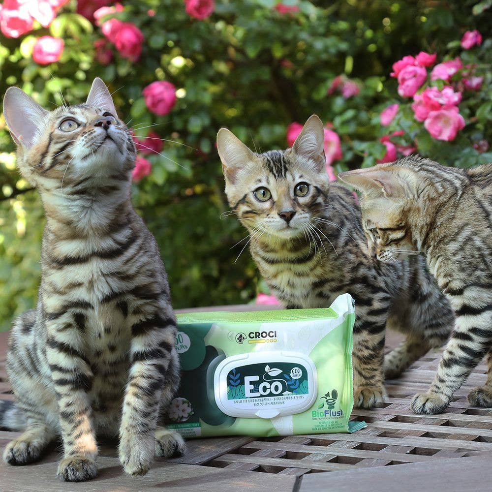 Lingettes humides pour chiens et chats - Beurre d'amande et de karité