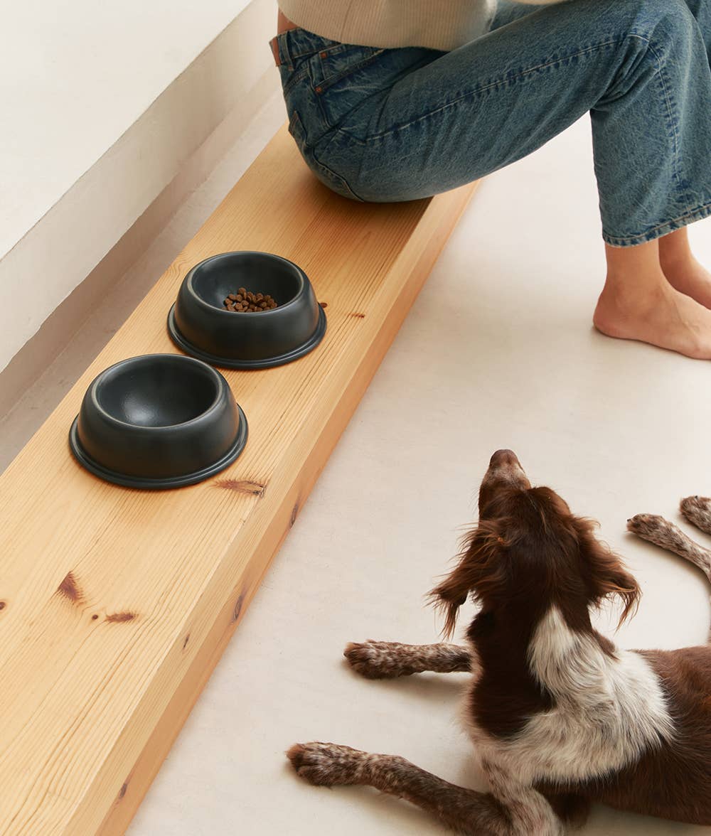 Gamelle pour chien en céramique - Anthracite