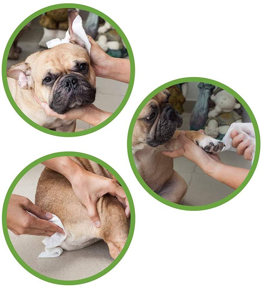 Lingettes humides pour chiens et chats - Beurre d'amande et de karité
