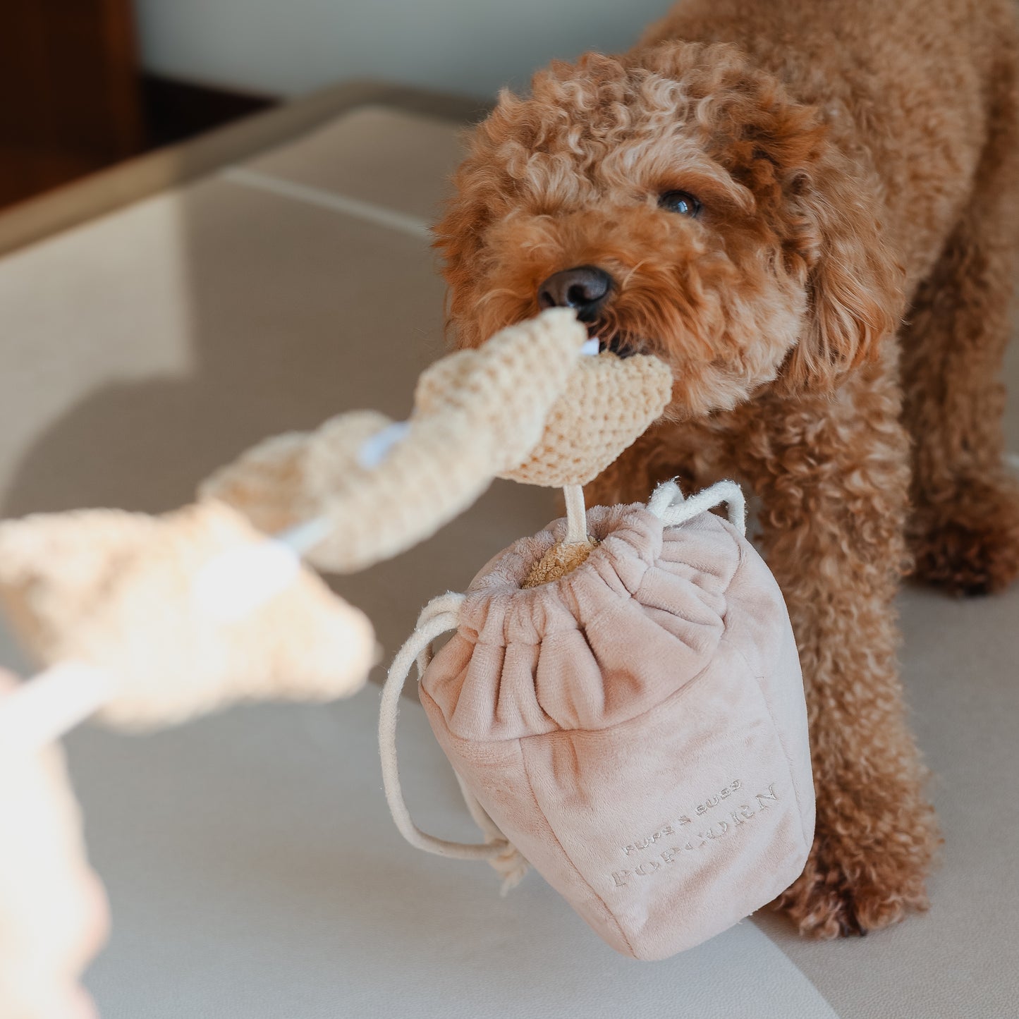 Jouet Popcorn