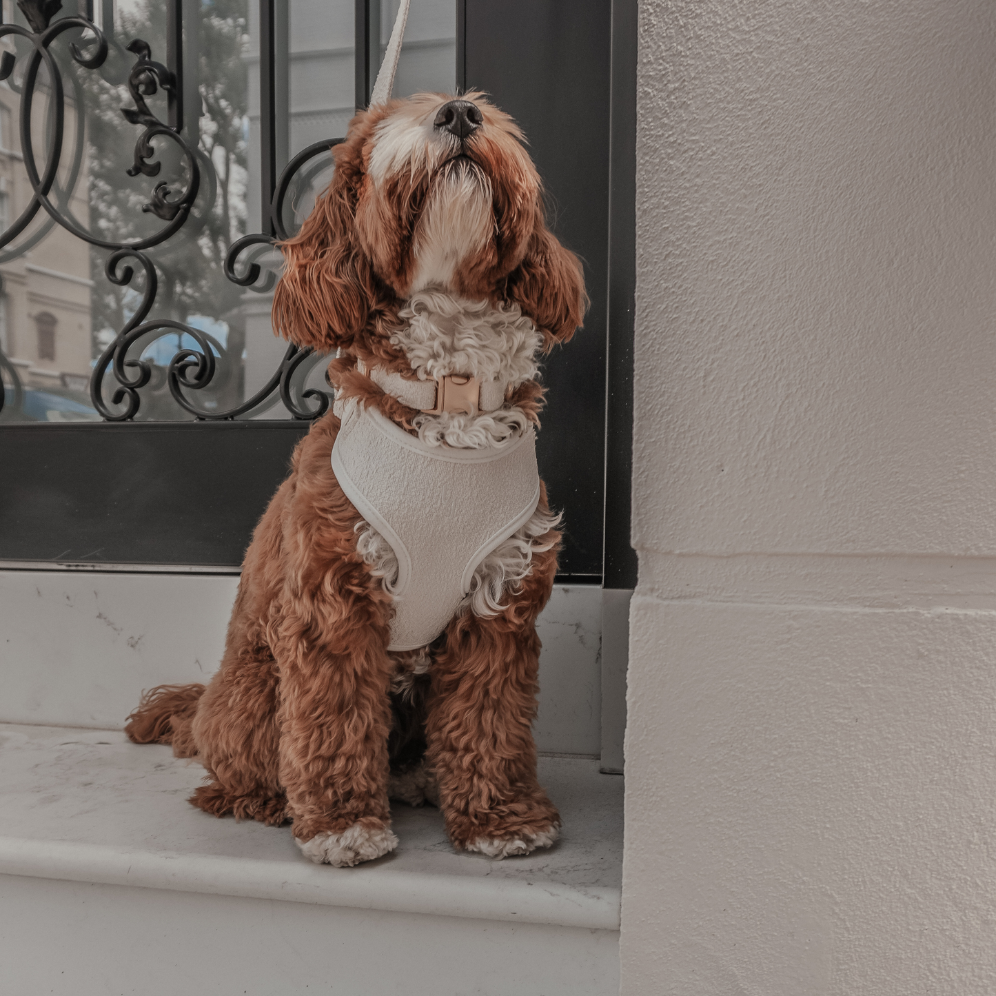 Harnais ajustable Marshmallow Bouclé