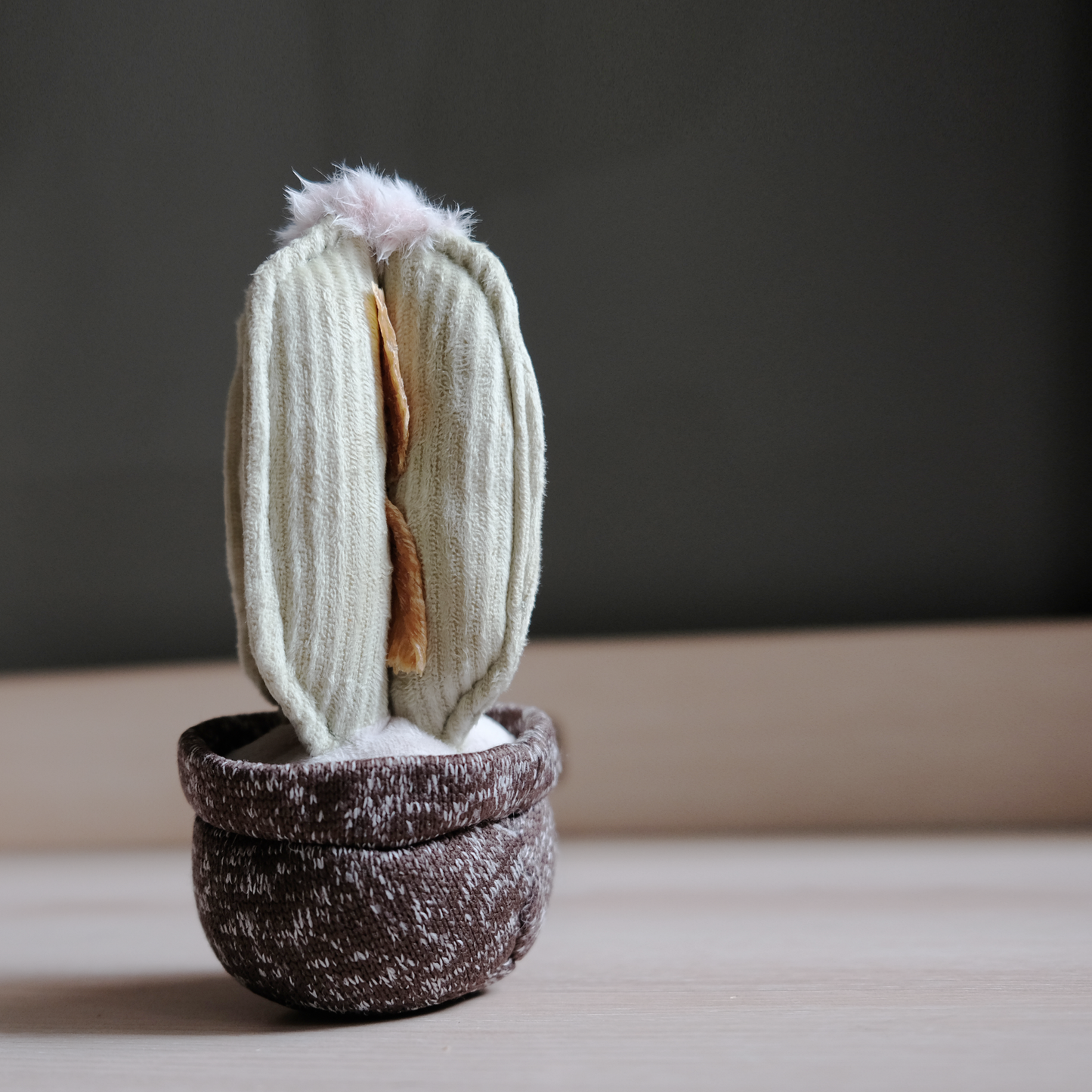 Jouet Cactus