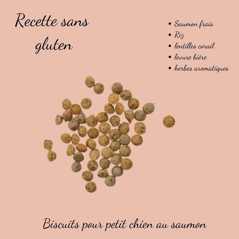 Friandises Biscuits pour chien au saumon : Petit chien