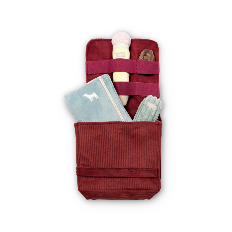 Jouet d’enrichissement CARTABLE