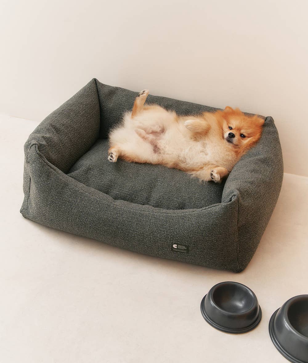 Gamelle pour chien en céramique - Anthracite