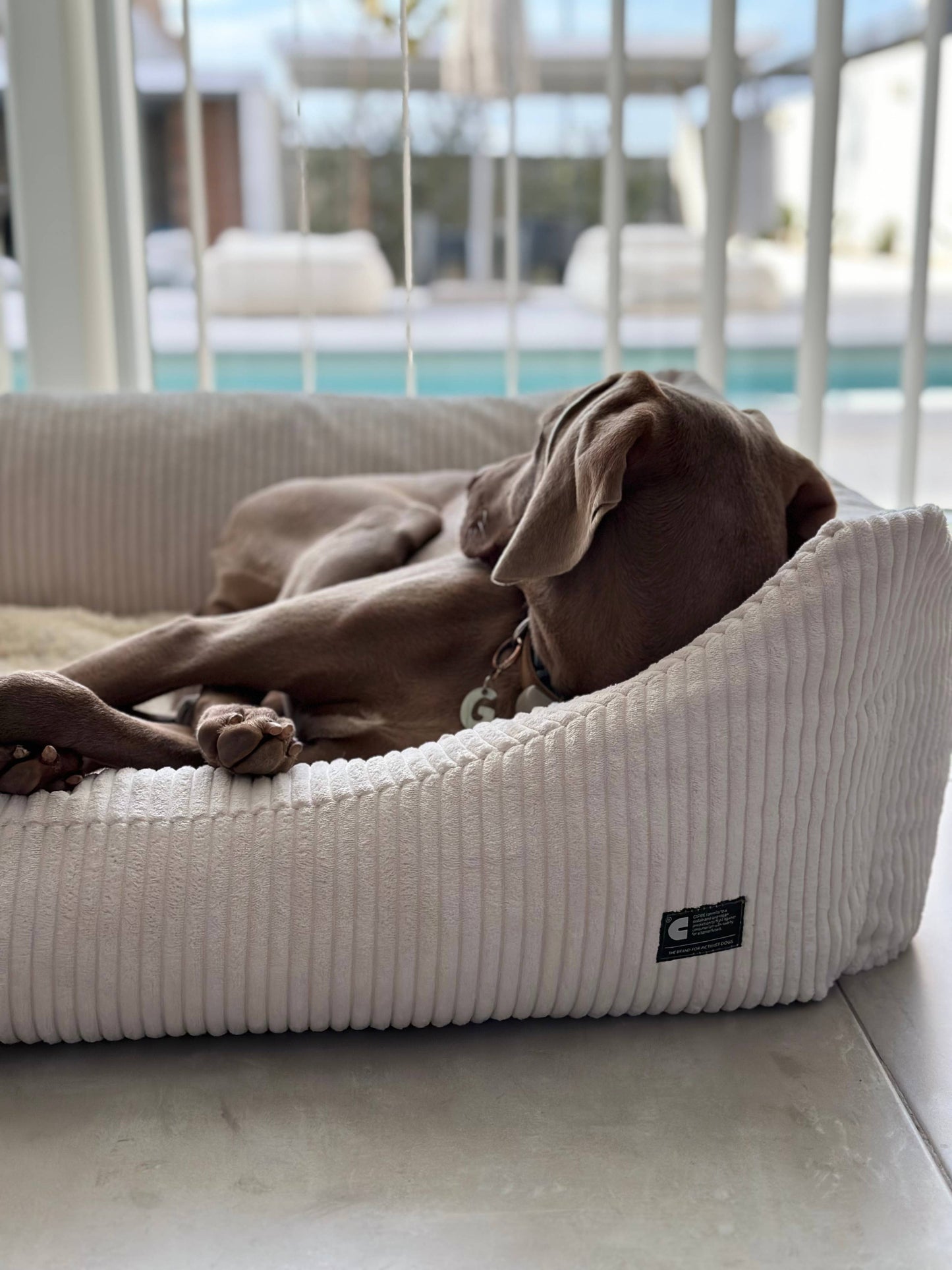 Panier pour chien en velours côtelé - Blanc