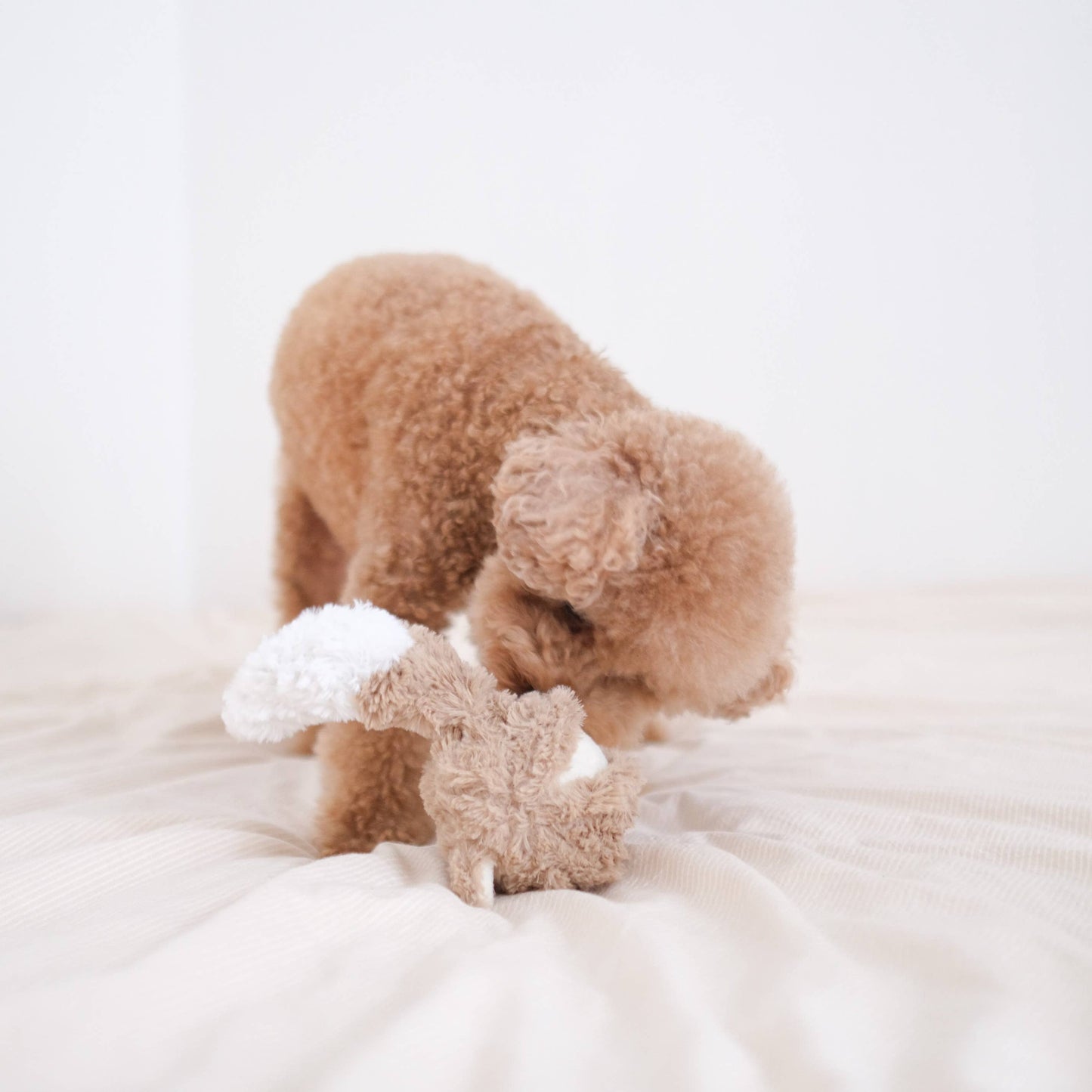 Jouet Fox Renard POP
