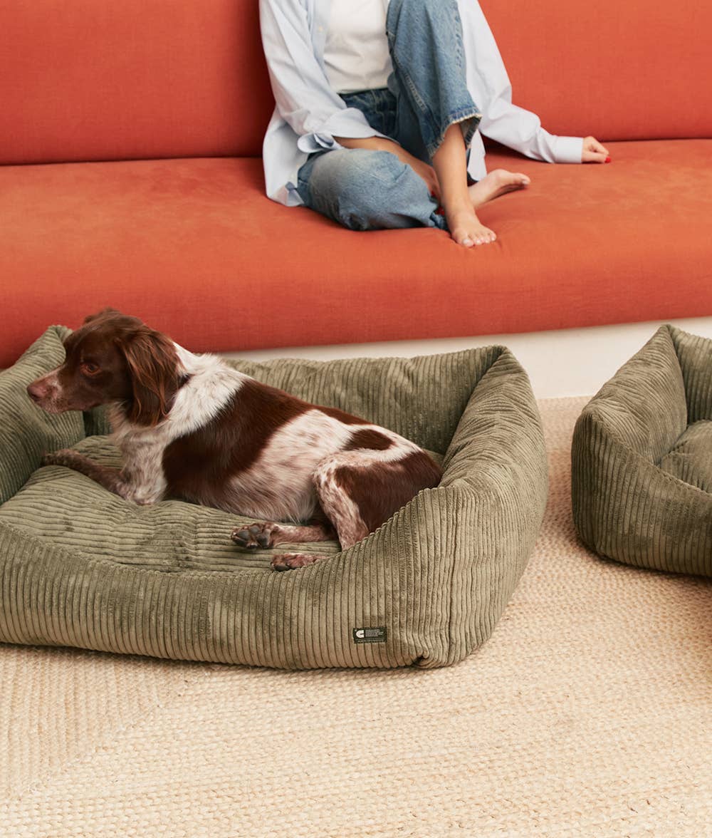 Panier pour chien en velours côtelé - Vert Kaki