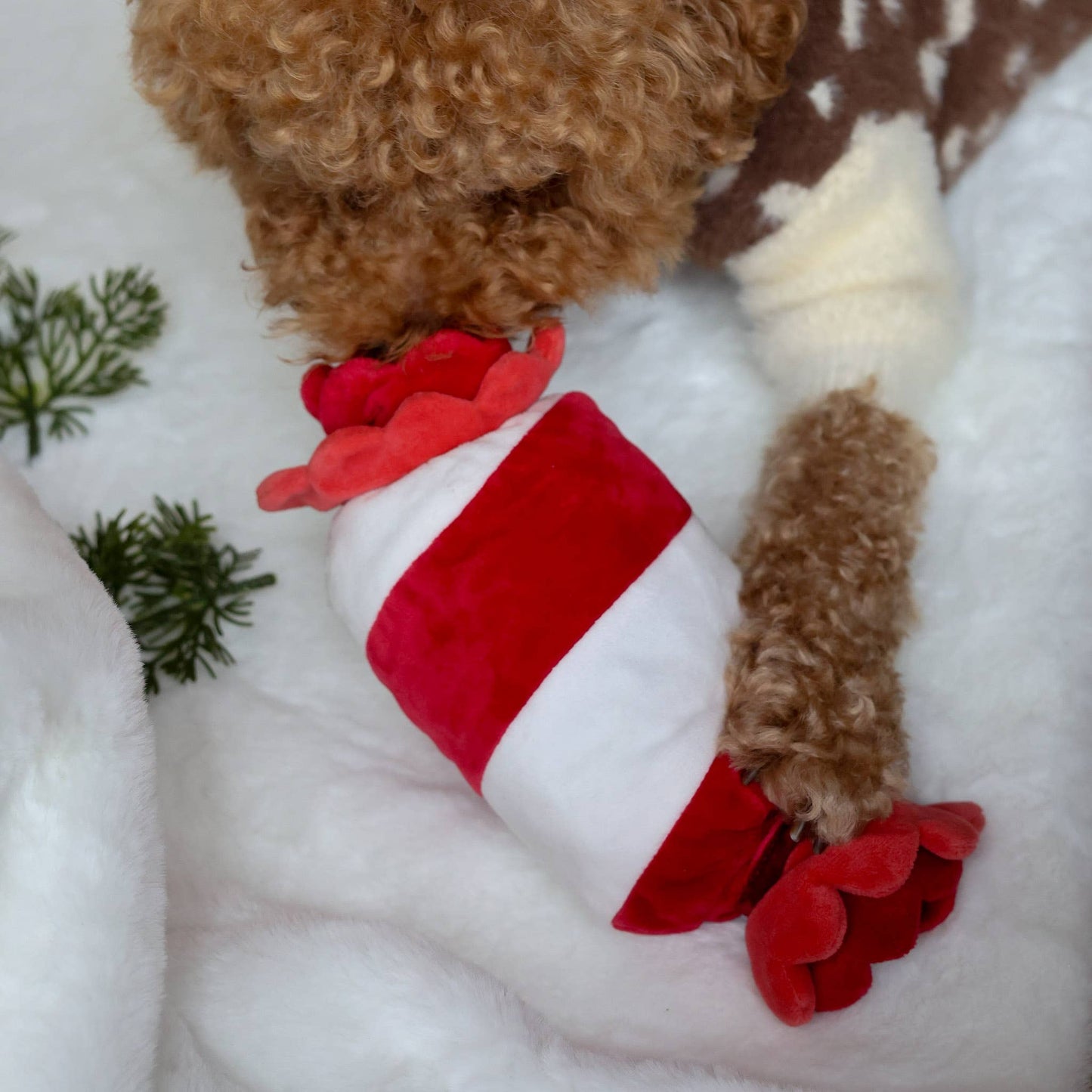 Jouet Cadeau Sucre d’Orge