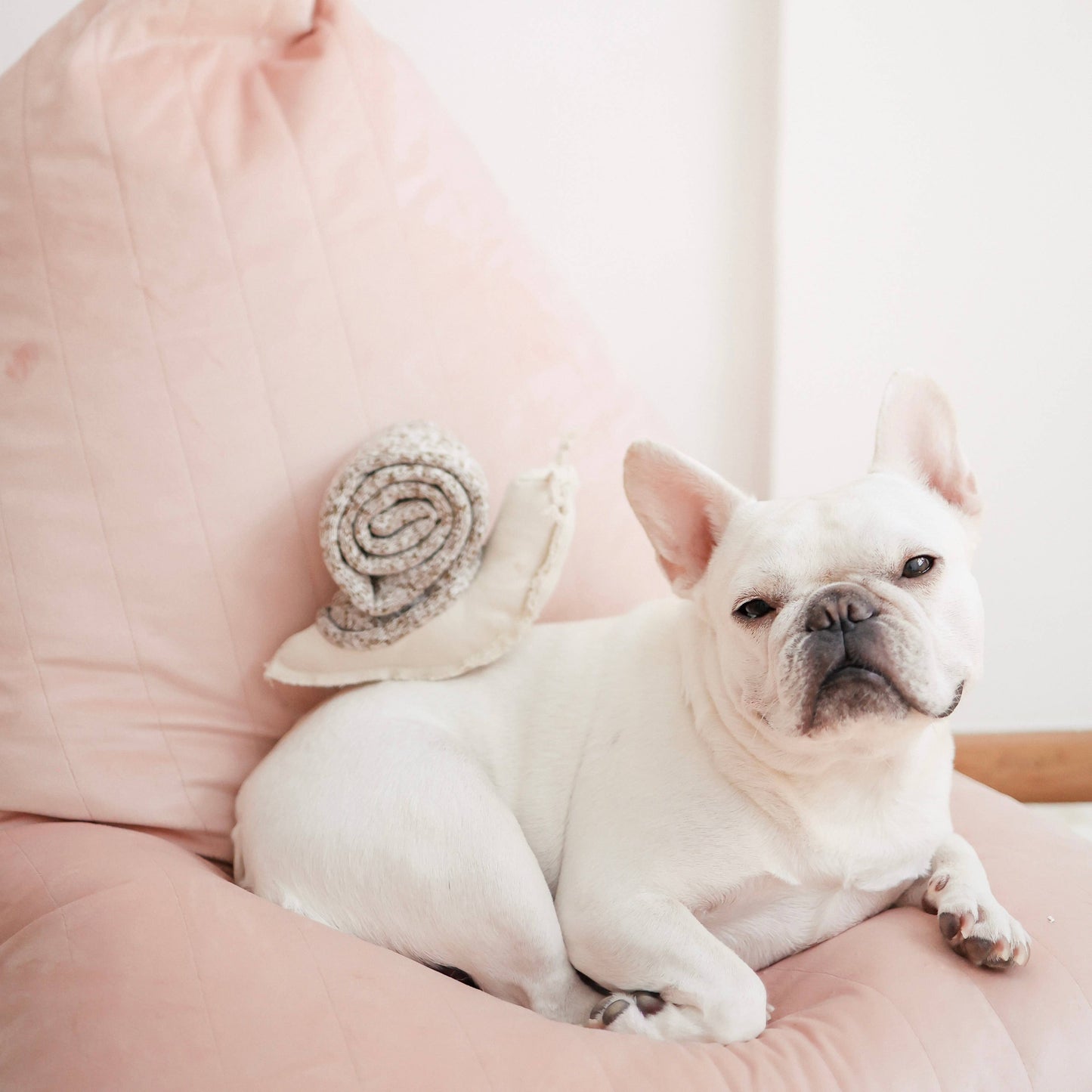 Jouet Escargot