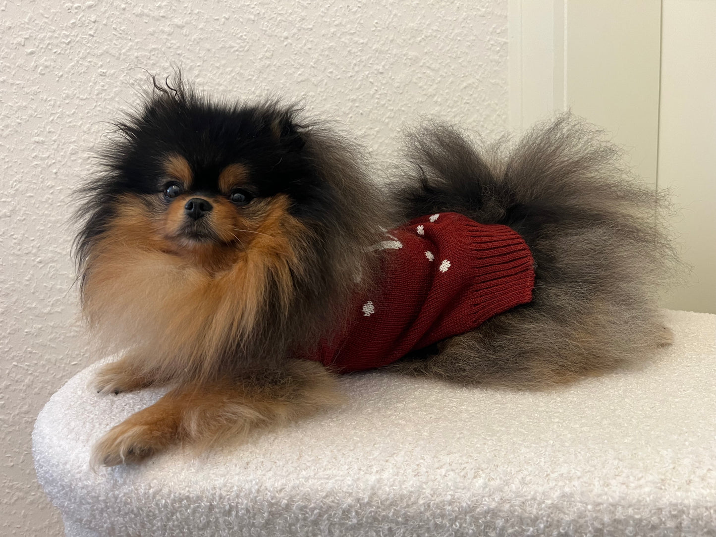Pull Swow Cute Bordeaux