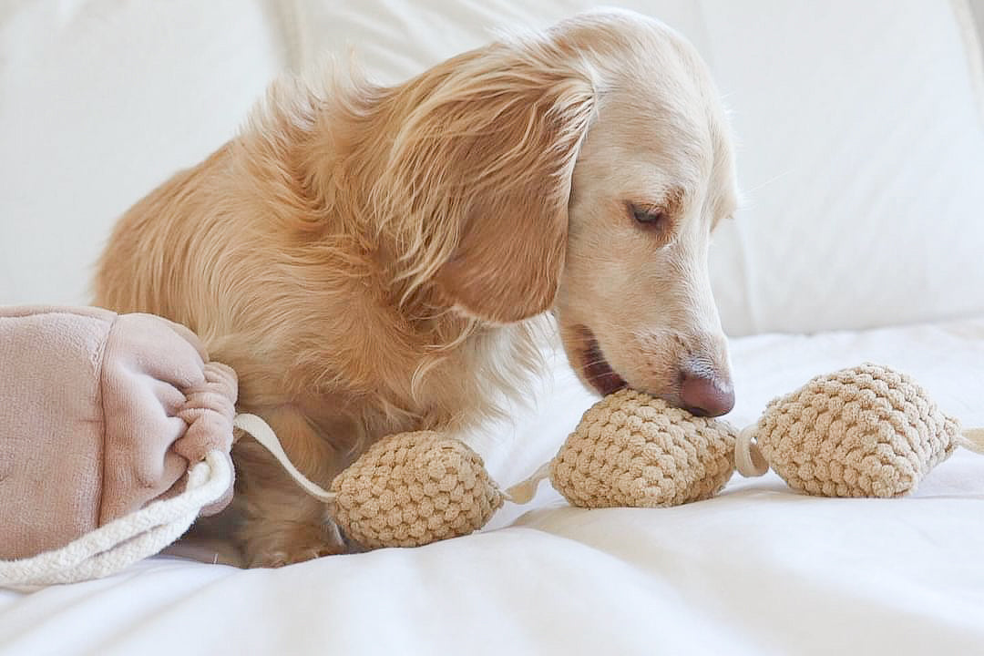 Jouet Popcorn
