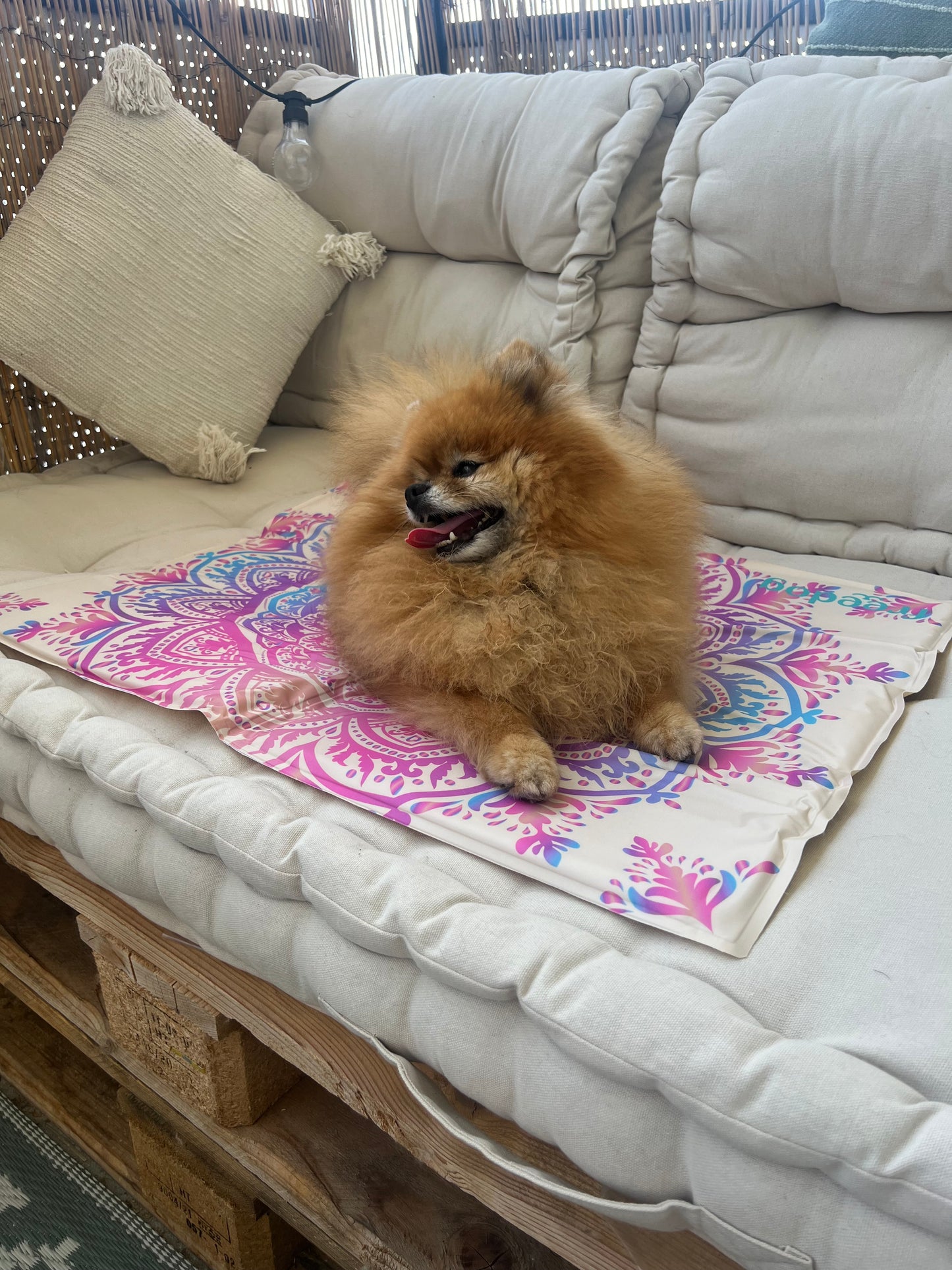 Tapis rafraîchissant AZTHÈQUE BEIGE pour Chien et Chat