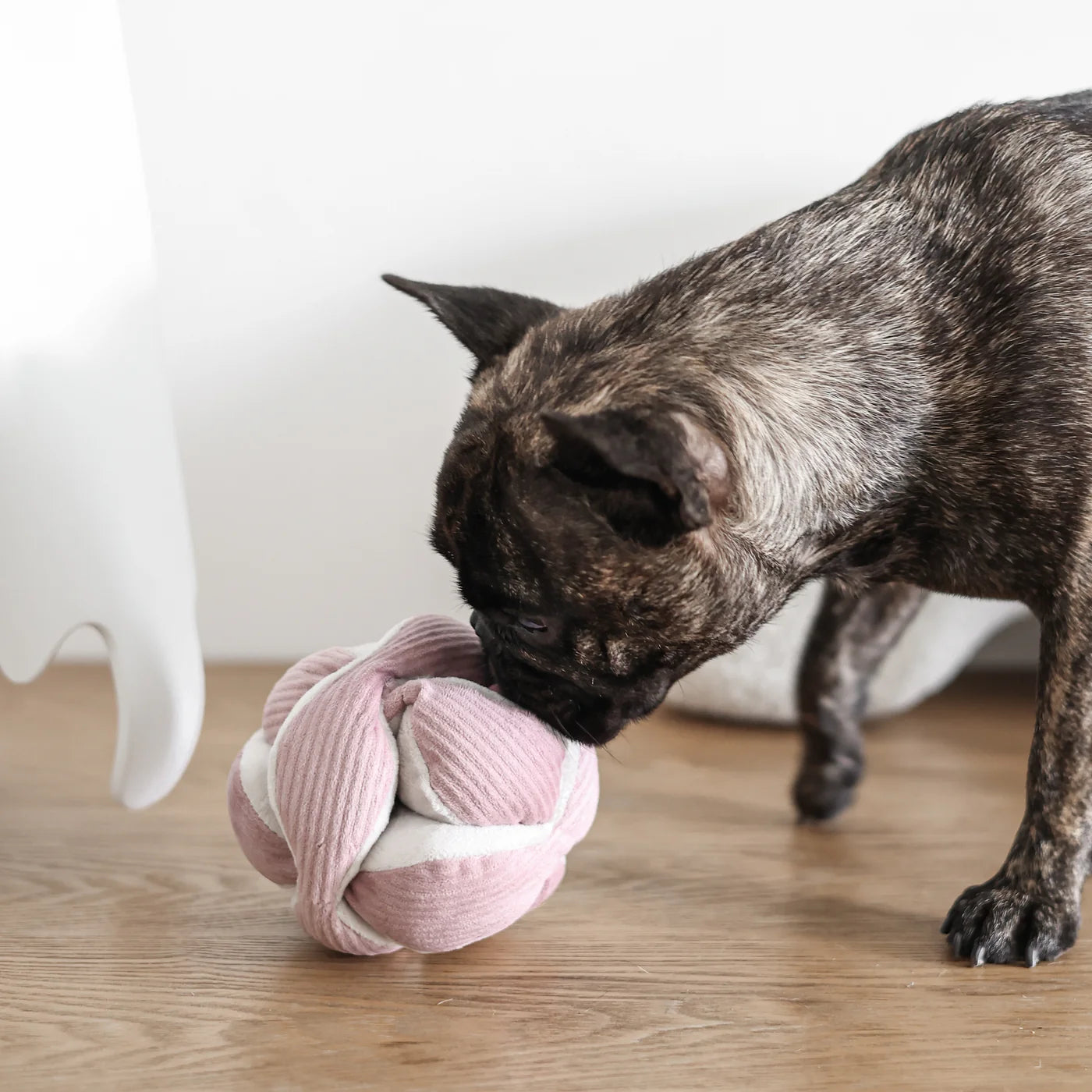 Jouet d'enrichissement Monti Rose