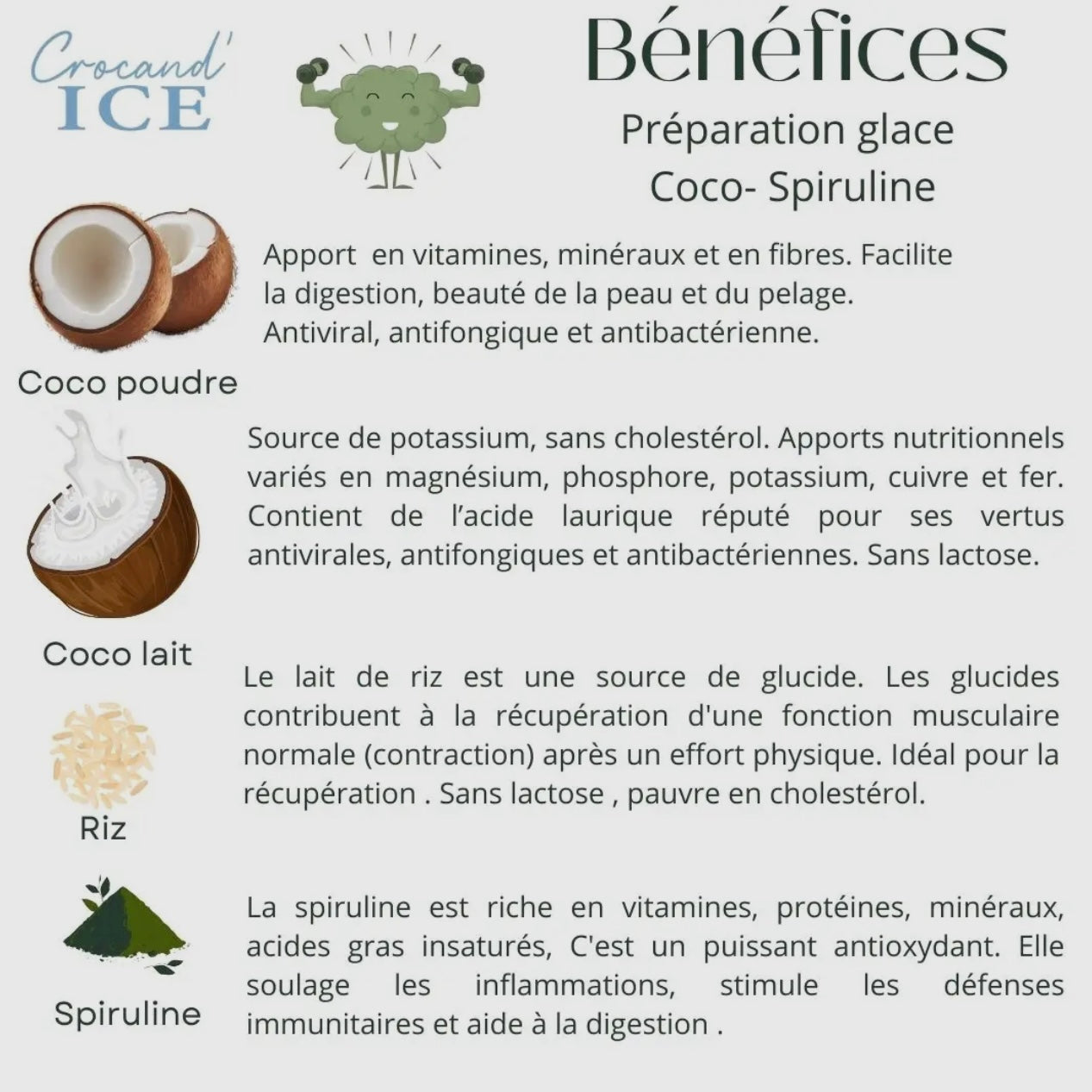 Glace pour chien Coco et Spiruline