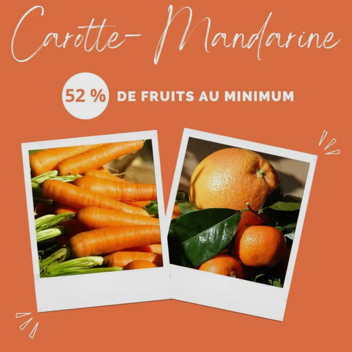 Glace pour chien Carotte Mandarine