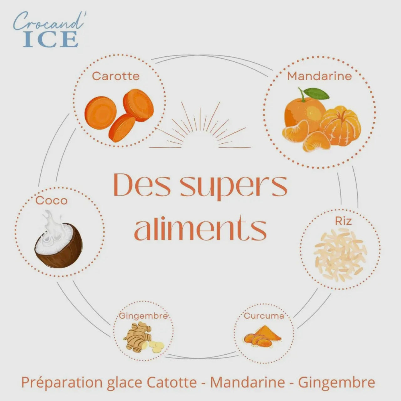 Glace pour chien Carotte Mandarine