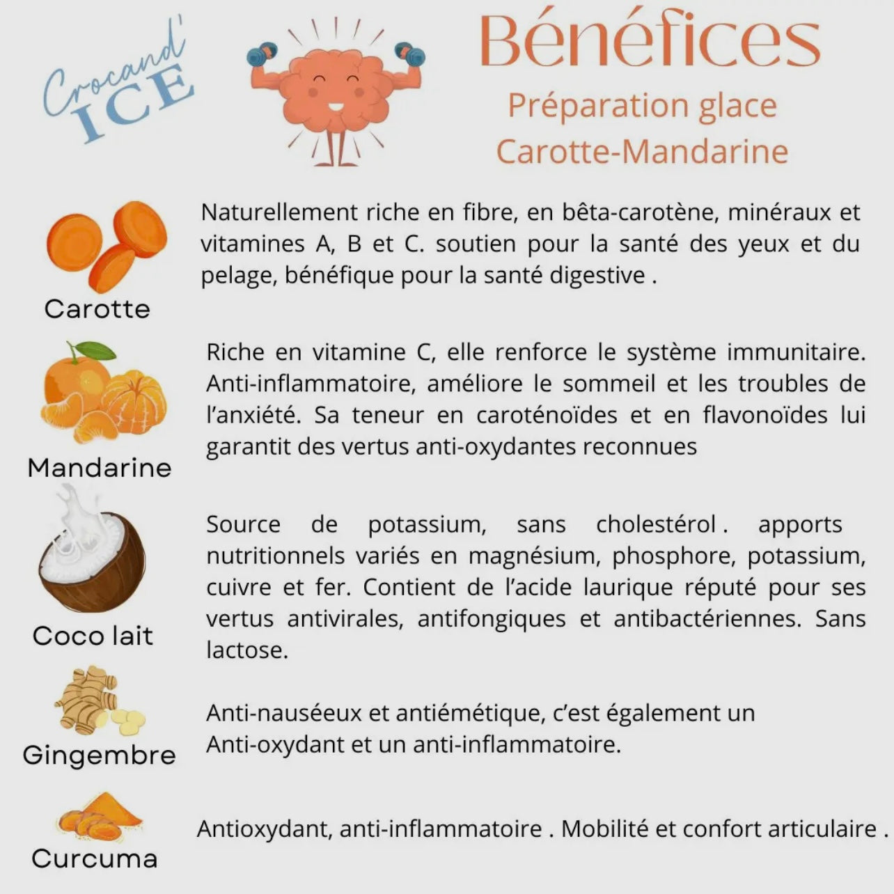 Glace pour chien Carotte Mandarine