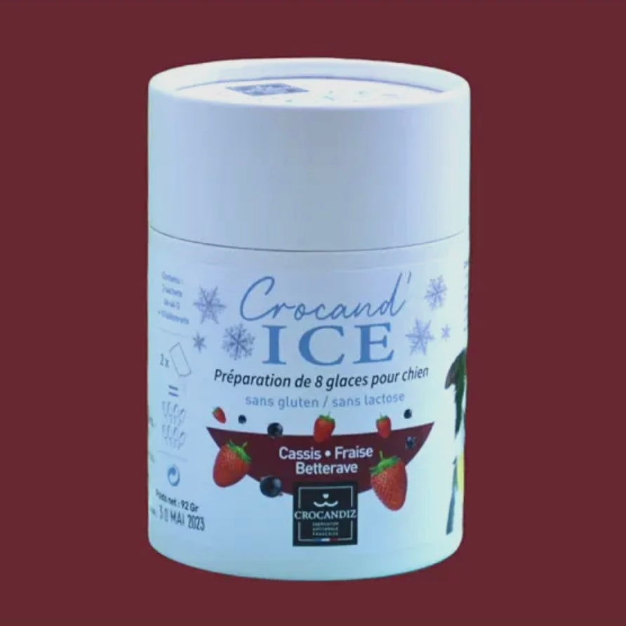 Glace pour chien Cassis et Fraise
