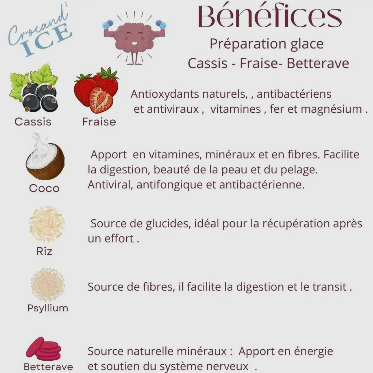 Glace pour chien Cassis et Fraise