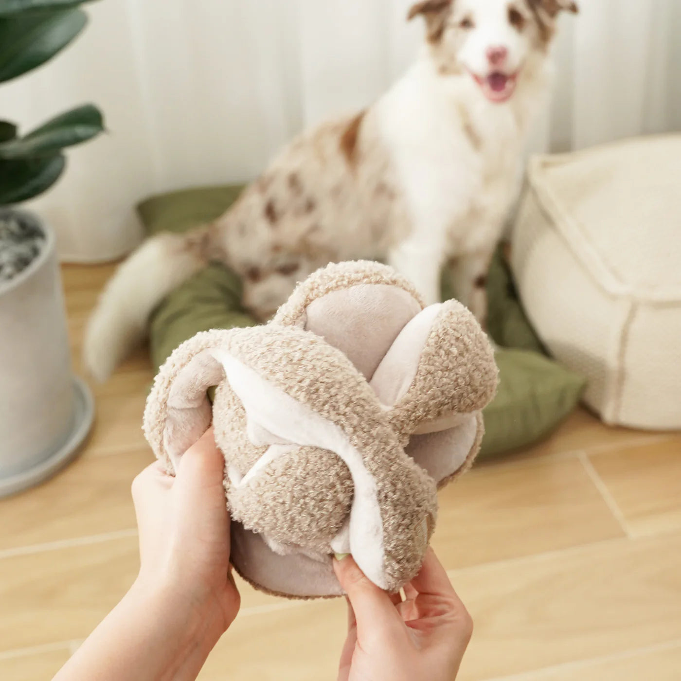 Jouet d'enrichissement Monti Bouclette Beige