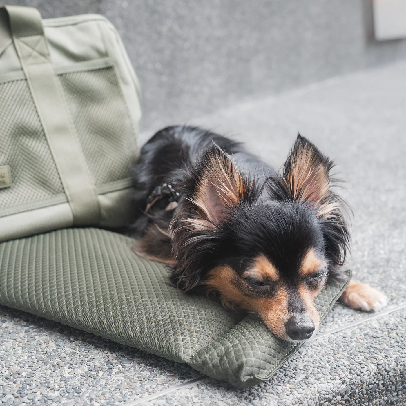 Sac de Transport SUBWAY Kaki