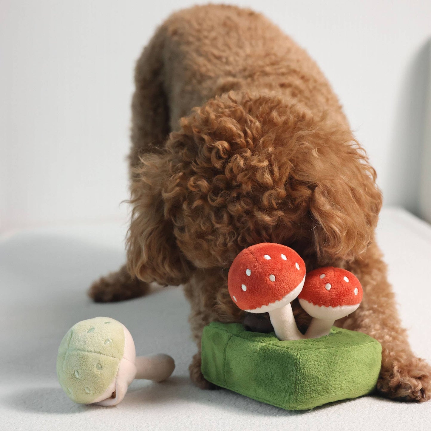 Jouet Forest Mushroom