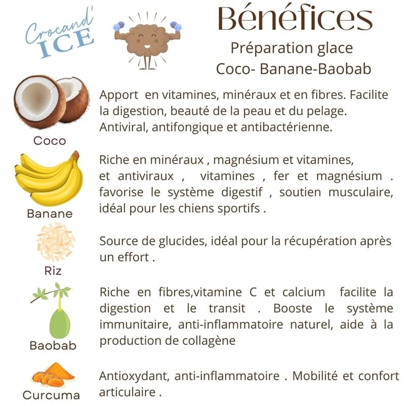 Glace pour chien Coco Banane