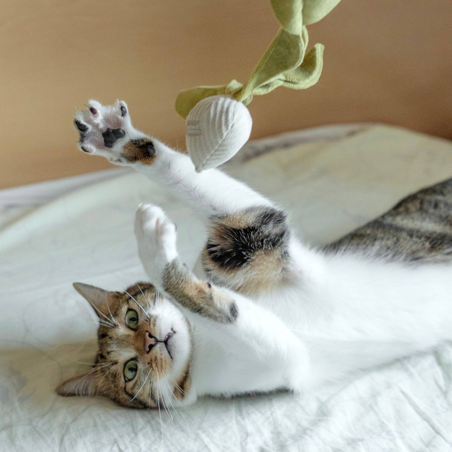 Jouet pour Chat Radis Crème