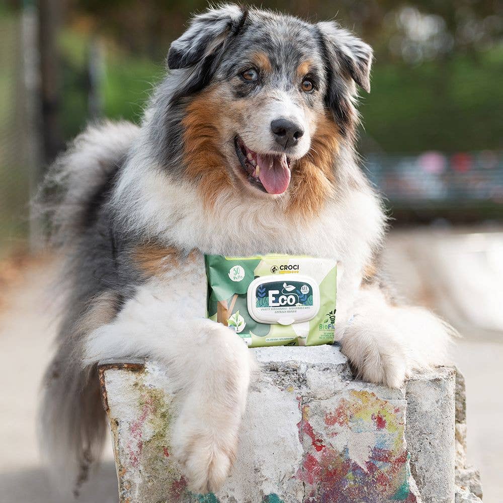 Lingettes humides pour chiens et chats - Beurre d'amande et de karité