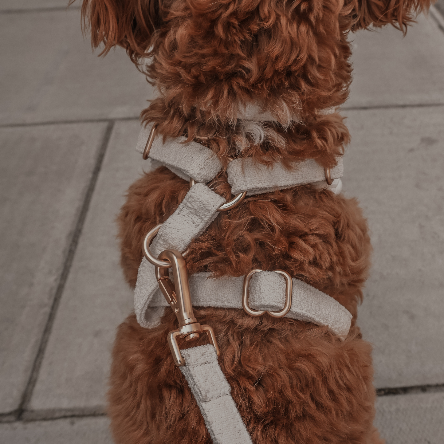 Harnais ajustable Marshmallow Bouclé