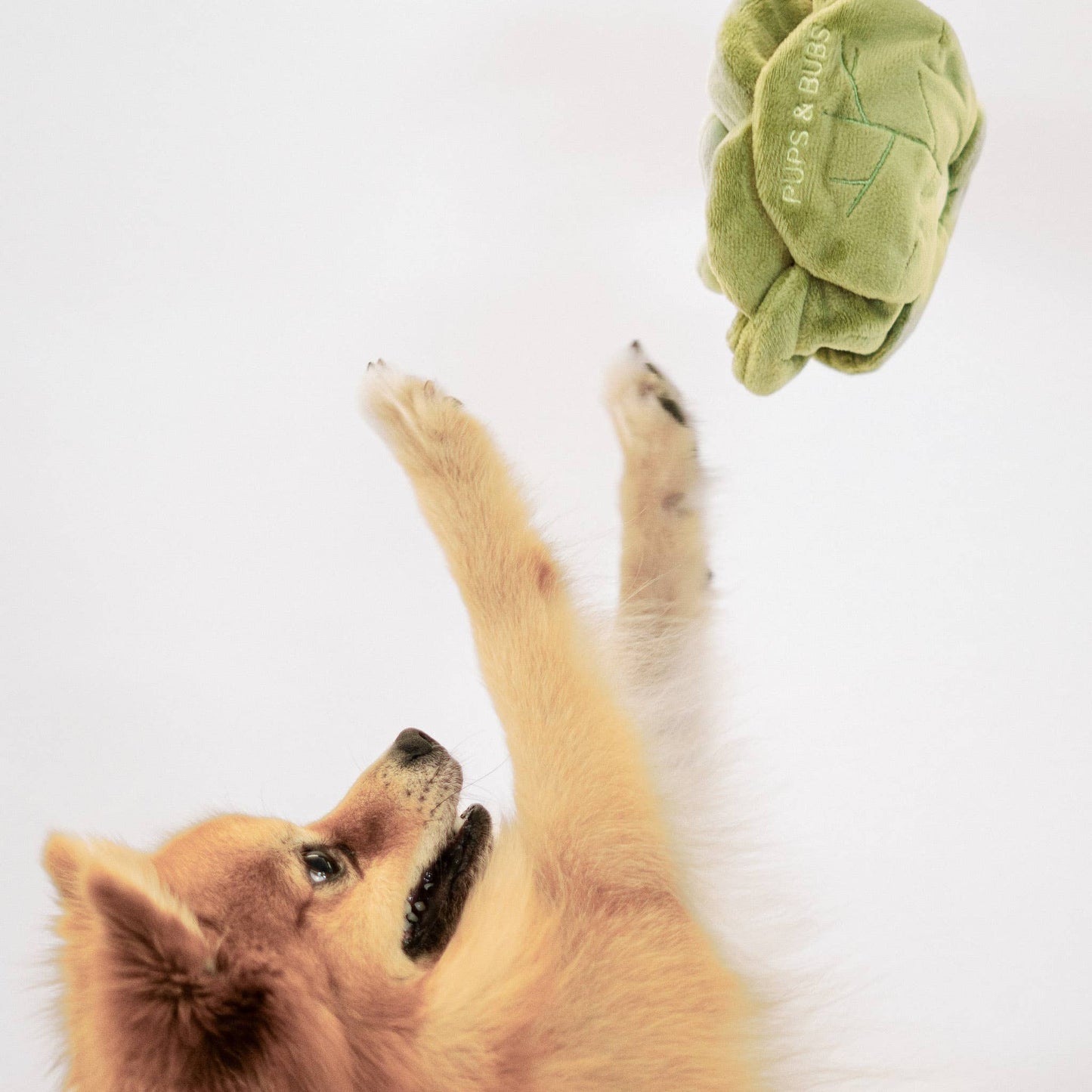 Jouet Snuffle Chou Vert