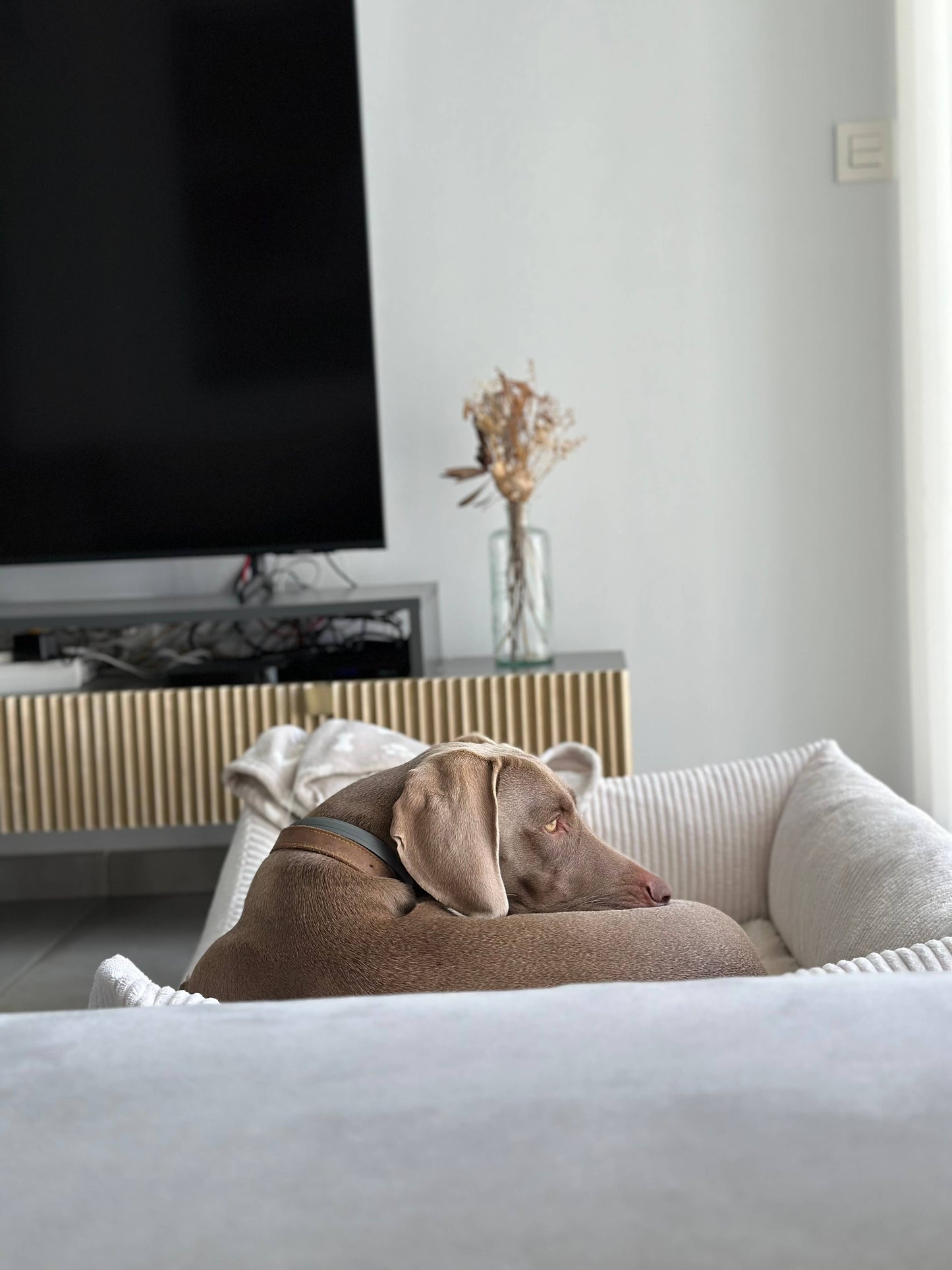 Panier pour chien en velours côtelé - Blanc