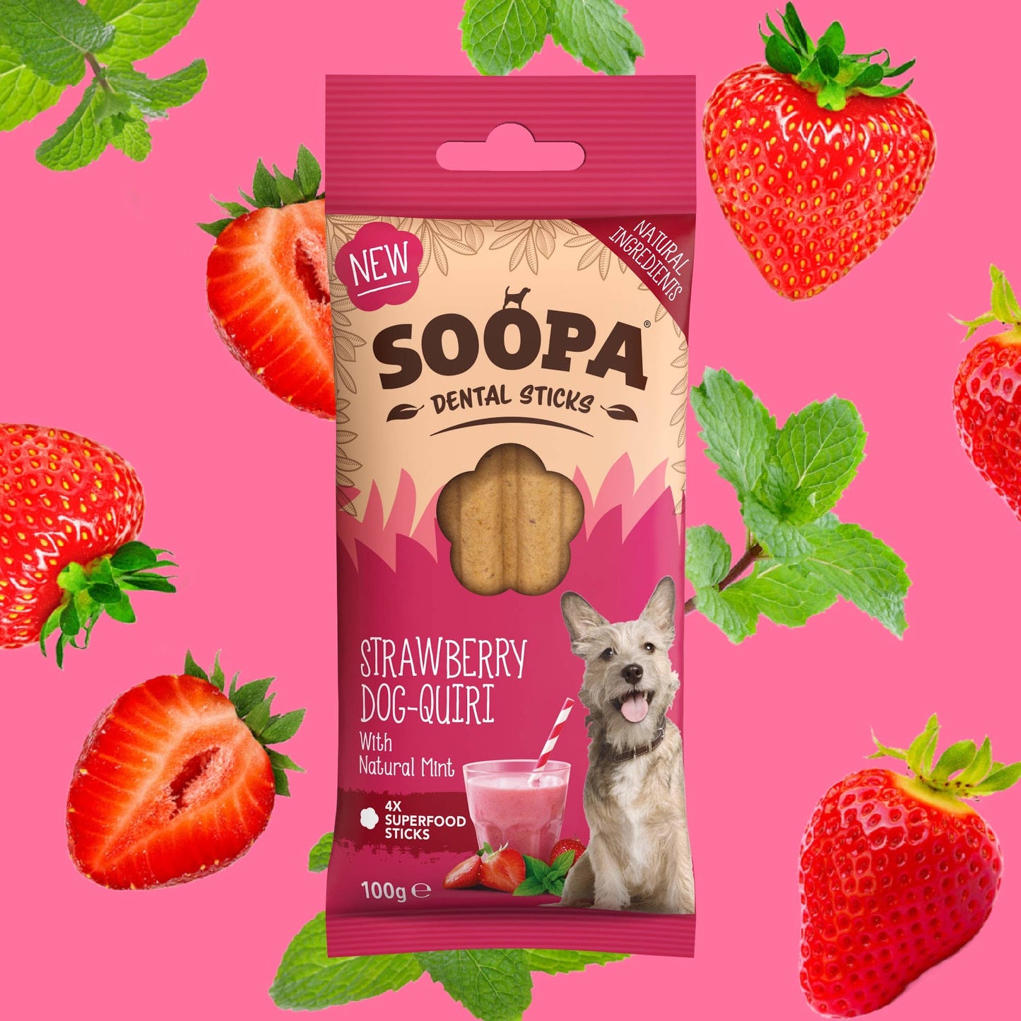 Bâtonnets Dentaires pour Chiens – Saveur Fraise Dog-Quiri