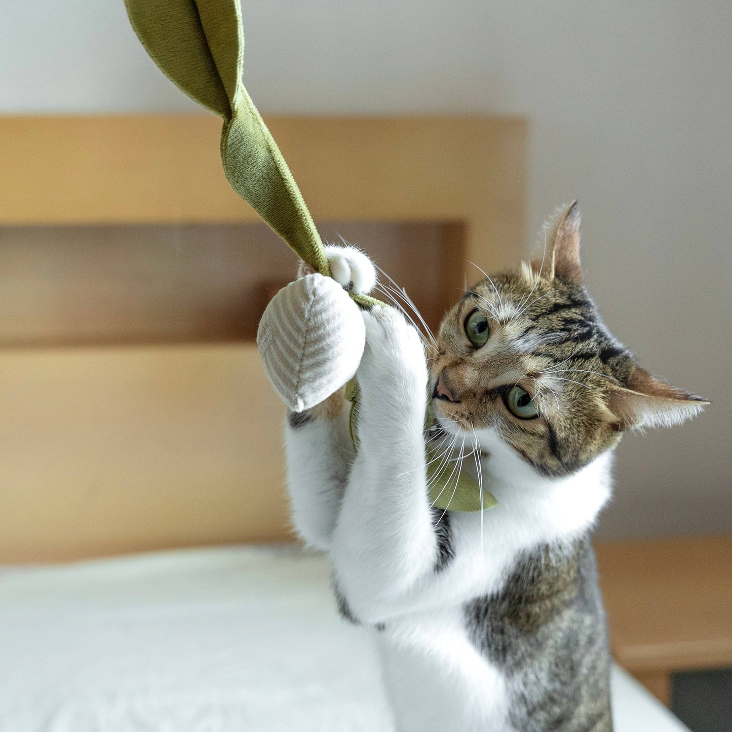 Jouet pour Chat Radis Crème