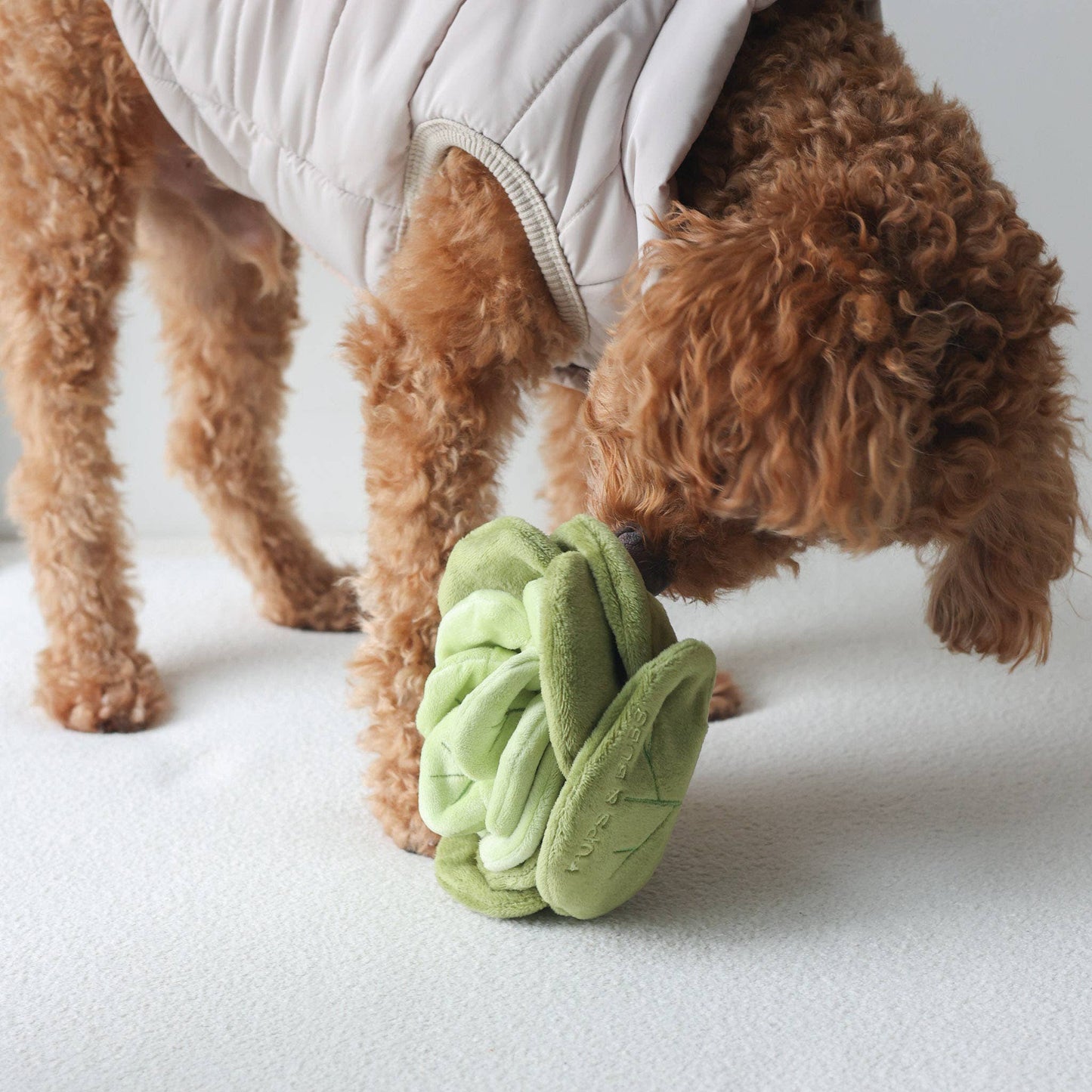 Jouet Snuffle Chou Vert
