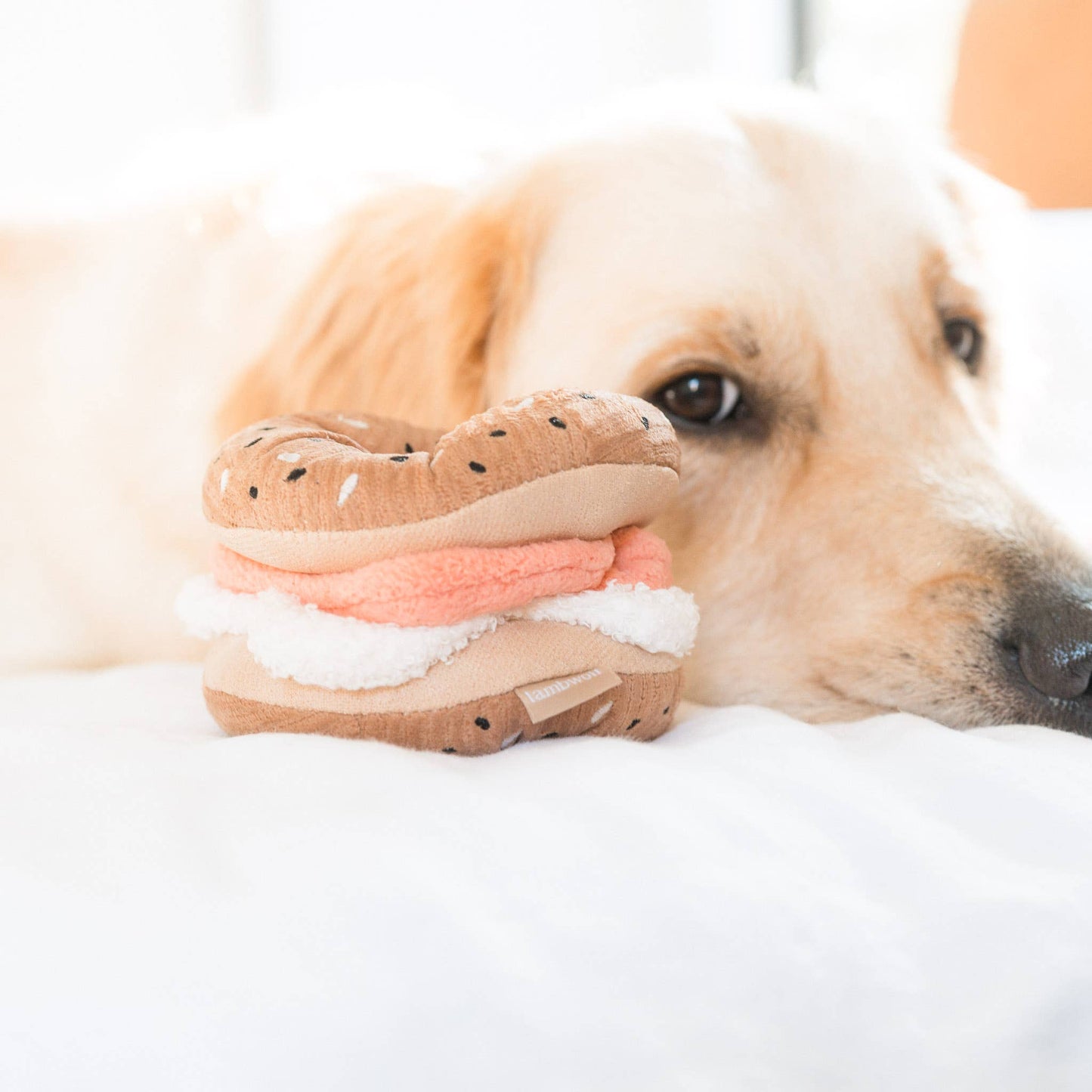 Jouet Bagel et Cornichon