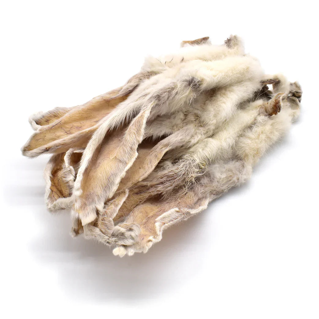 Oreille de Lapin pour chien avec poils