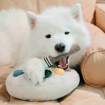 Jouet d’enrichissement Palette de couleurs