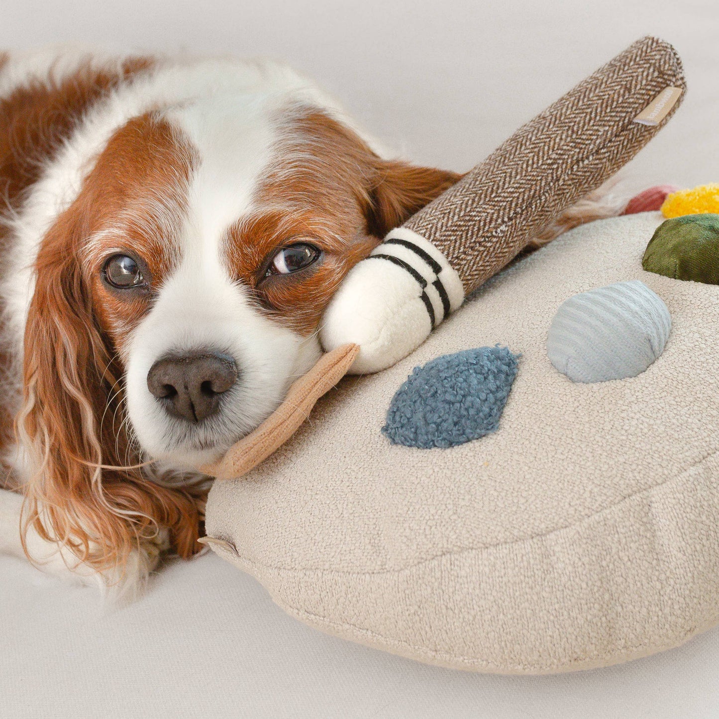 Jouet d’enrichissement Palette de couleurs