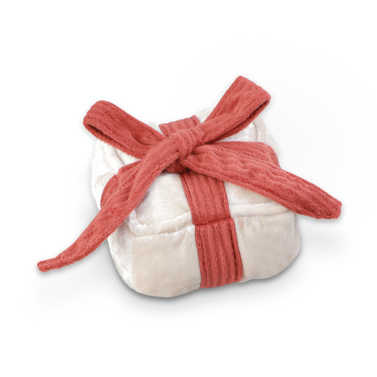 Jouet Cadeau - Neige