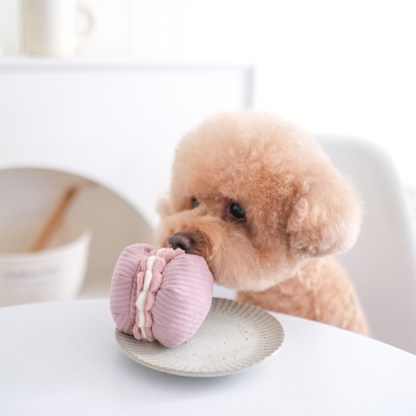 Jouet Pâtisserie Macaron & Madeleine