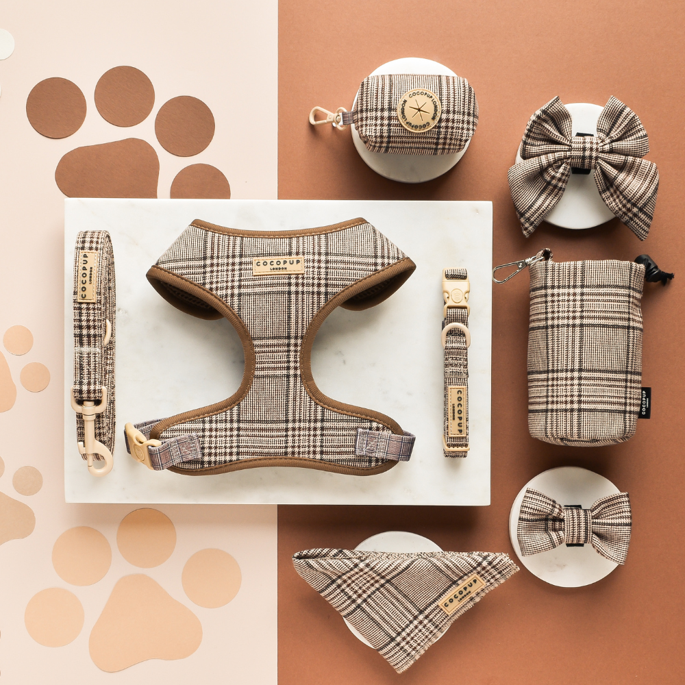 Laisse Pup Plaid